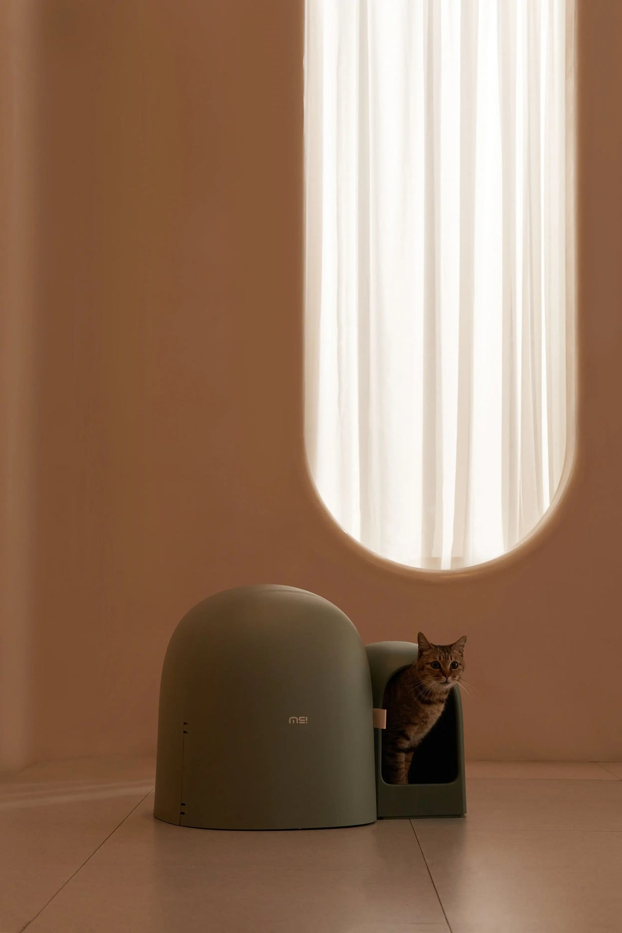 Kattenbak - grote ruimte - inclusief kattebakschepje - lekvrij - geurvrij - one size fits all - SpirePets