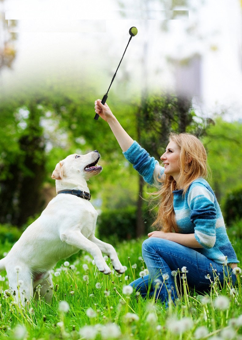 Werpstok voor honden - ballenwerper - hondenspeelgoed - SpirePets