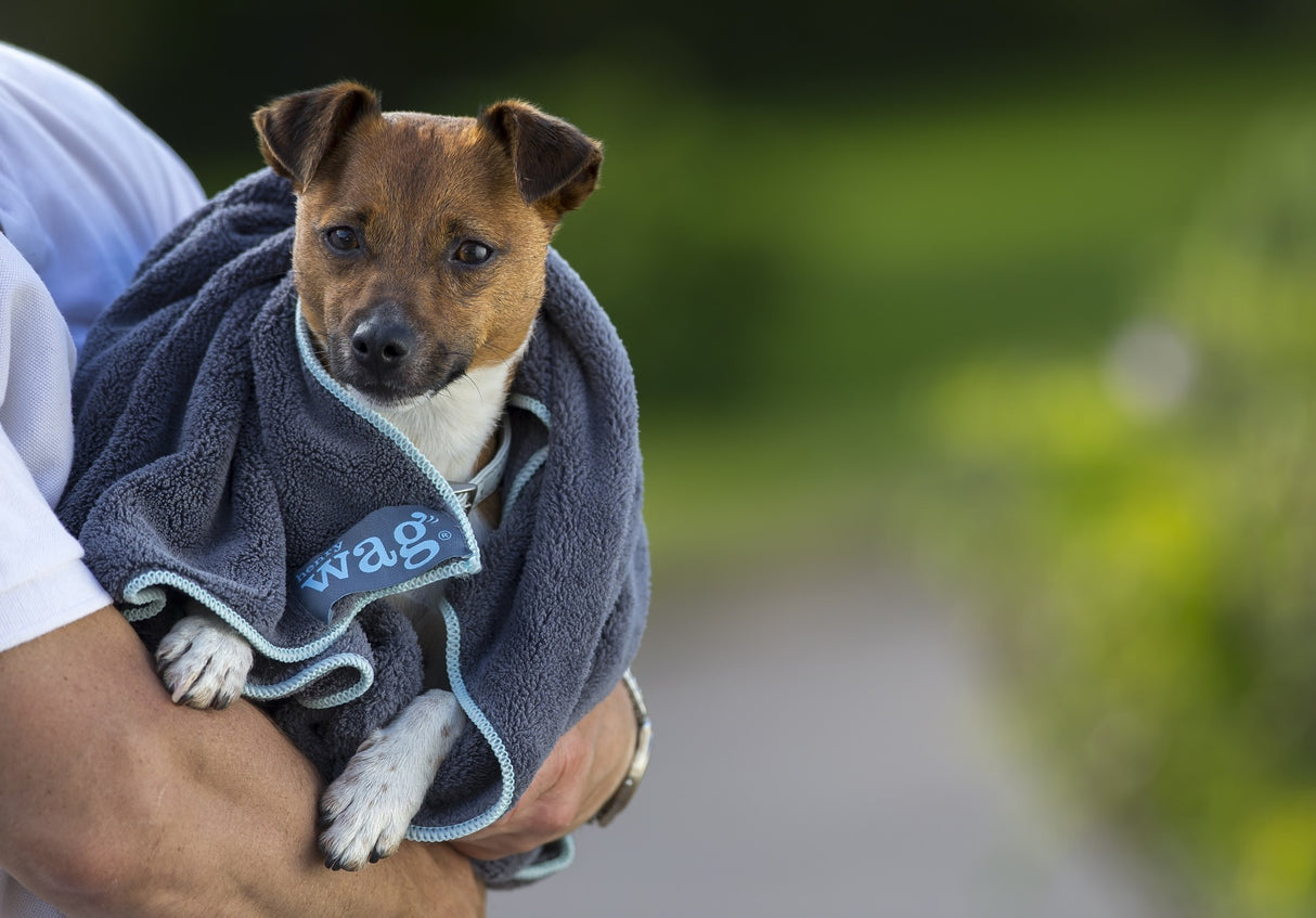 Henry Wag huisdier handdoek voor honden en katten - Maat S - SpirePets