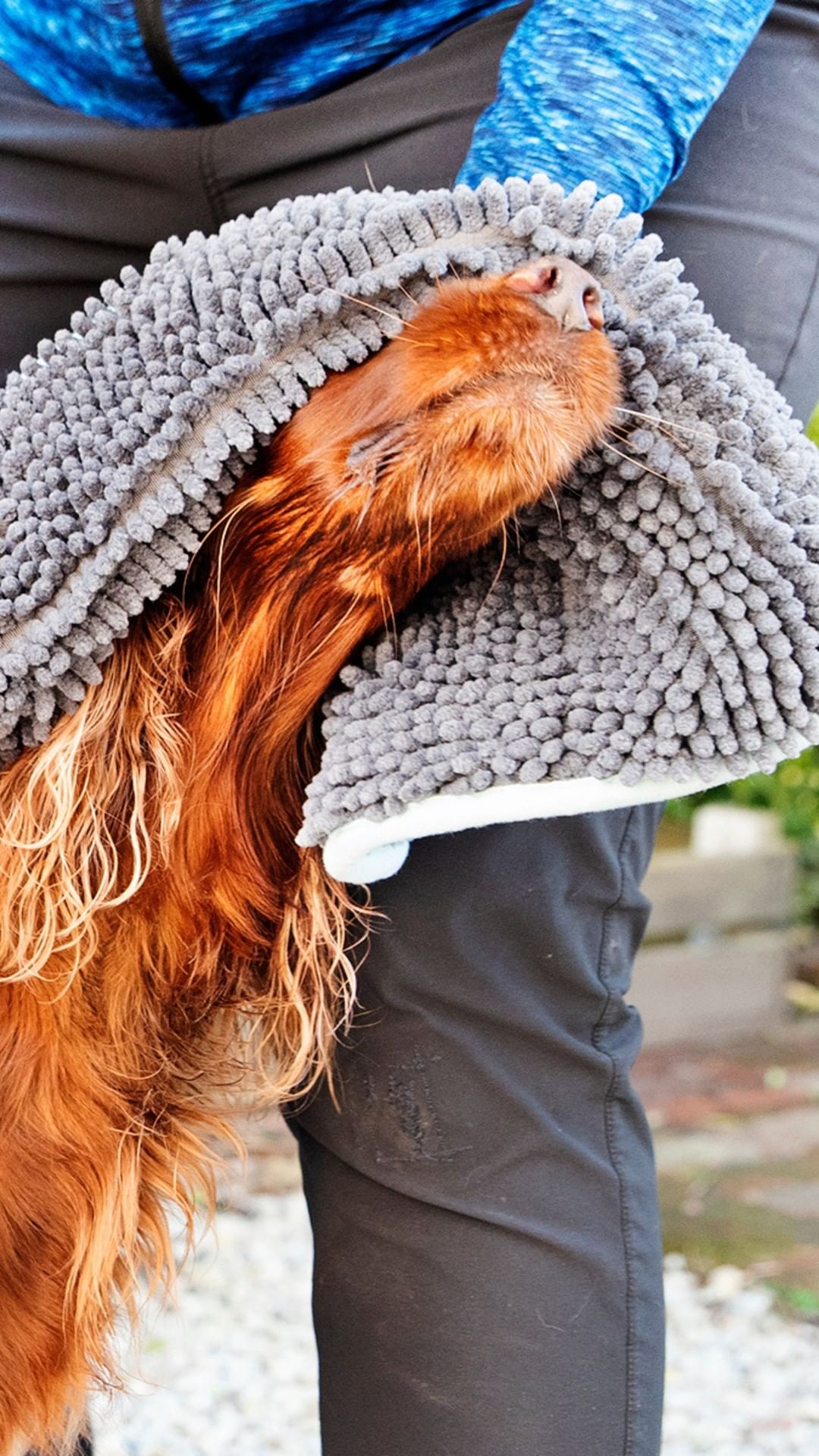 Henry Wag Microvezel huisdier handdoek voor honden en katten - SpirePets