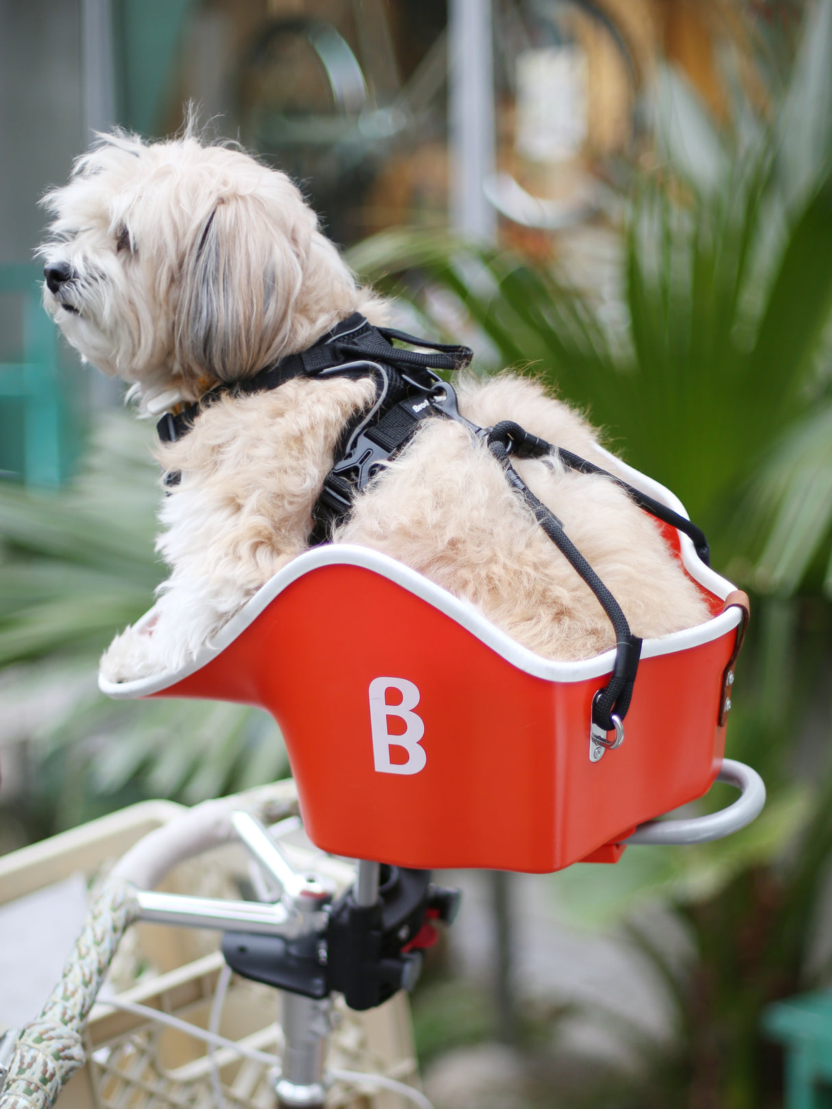 Brook & Breeze Canine Copilot - fietsstoeltje voor hond of kat