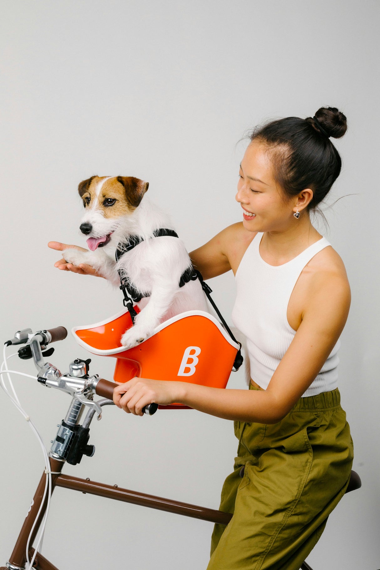 Brook & Breeze Canine Copilot - Fietsstoel voor hond of kat - SpirePets