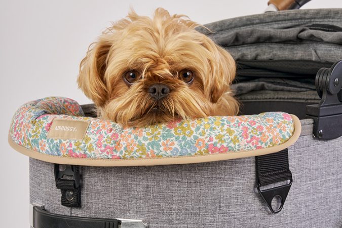 AirBuggy DOME 3 Corner Cushion – Ivory