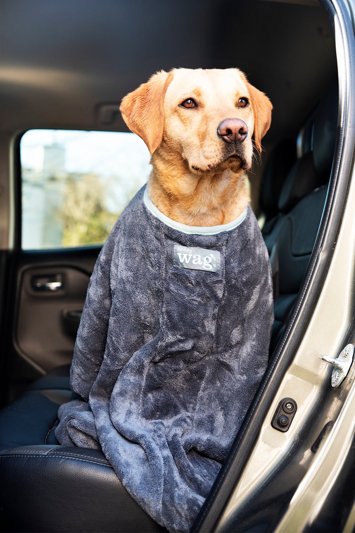 Henry Wag honden droogzak - microvezel - Maat L - SpirePets