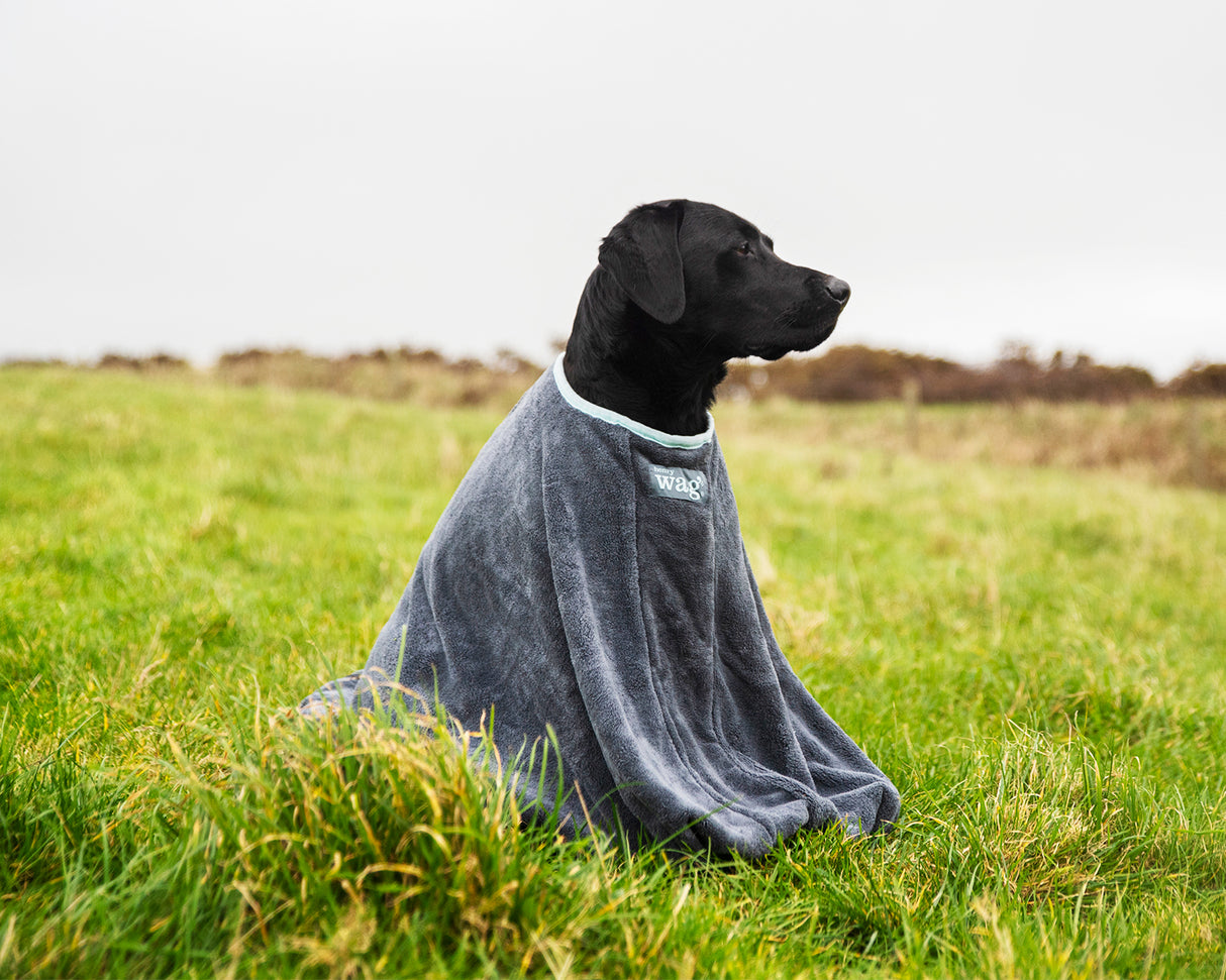 Henry Wag honden droogzak - microvezel - Maat L - SpirePets