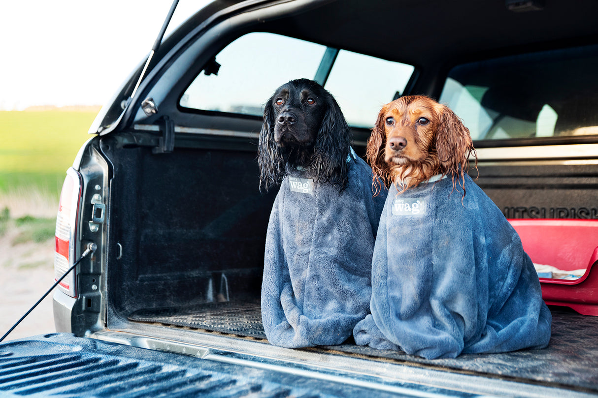 Henry Wag honden droogzak - microvezel - Maat L - SpirePets
