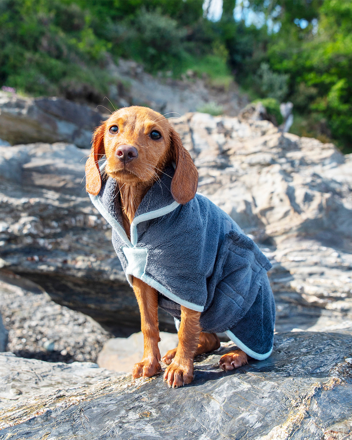 Henry Wag microvezel hondenbadjas - droogjas voor honden - Maat S - SpirePets