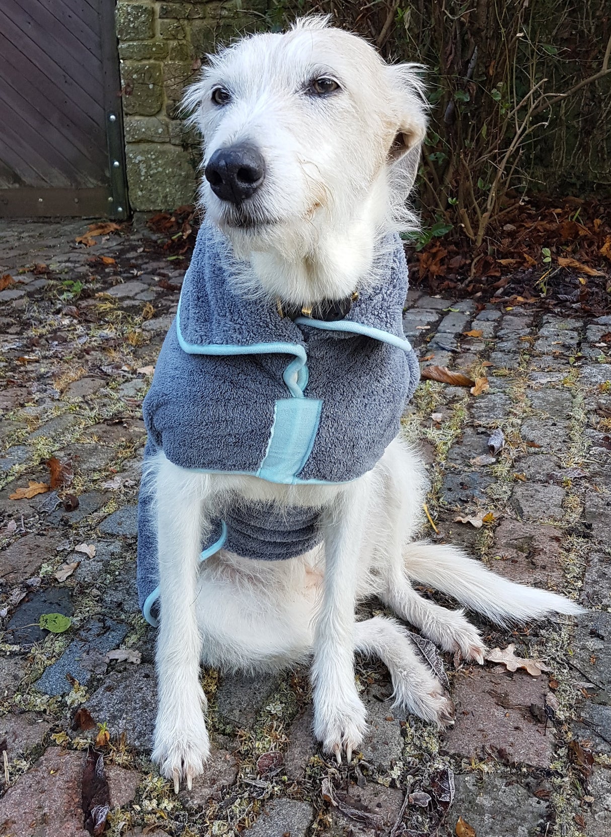 Henry Wag microvezel hondenbadjas - droogjas voor honden - Maat XXL - SpirePets