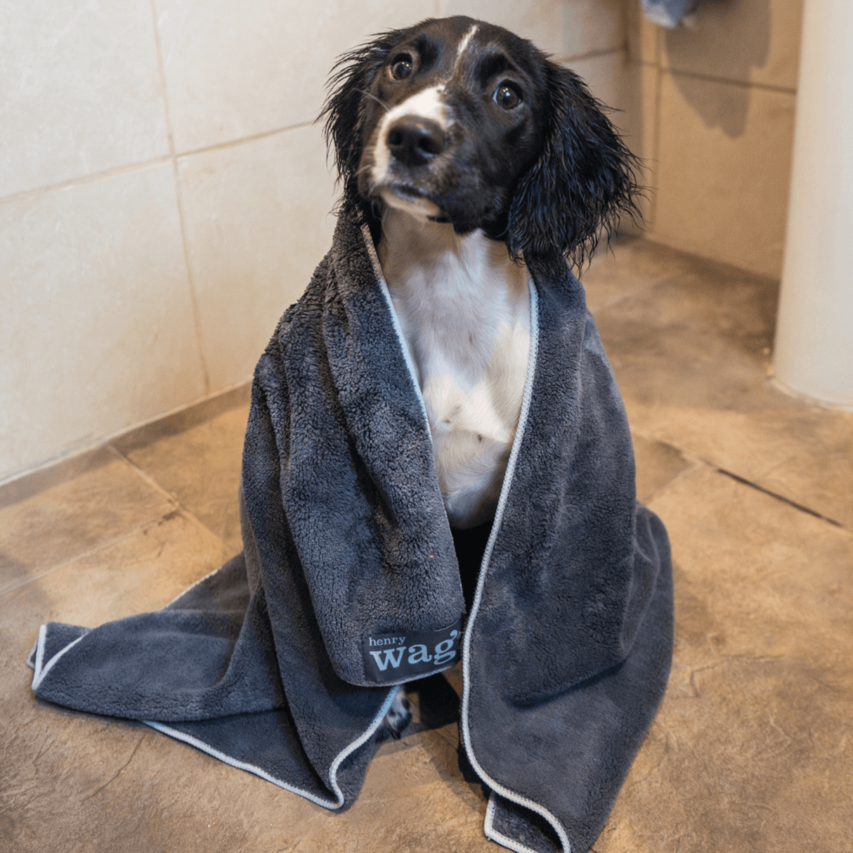 Henry Wag huisdier handdoek voor honden en katten - Maat S - SpirePets