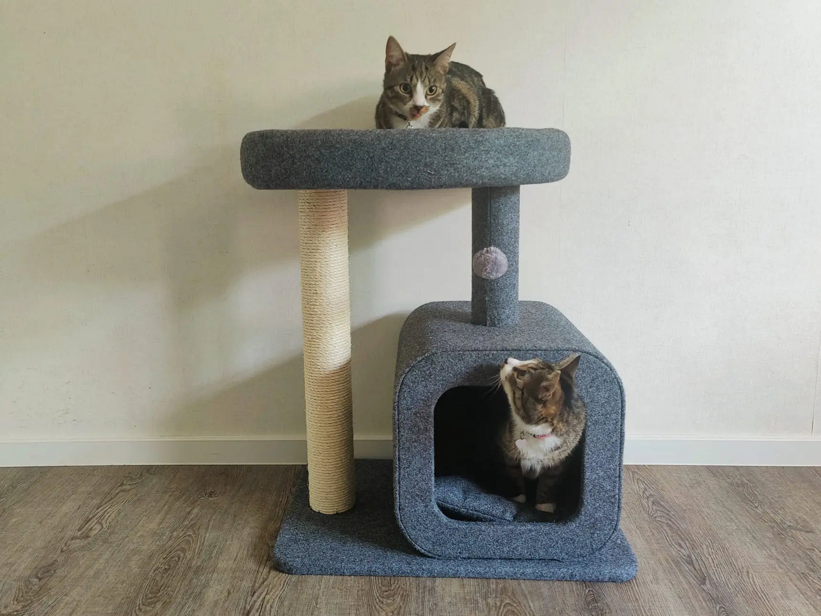SpirePets Krabpaal met huisje en extra groot ligoppervlak SpirePets