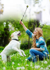 Werpstok voor honden - ballenwerper - hondenspeelgoed - SpirePets