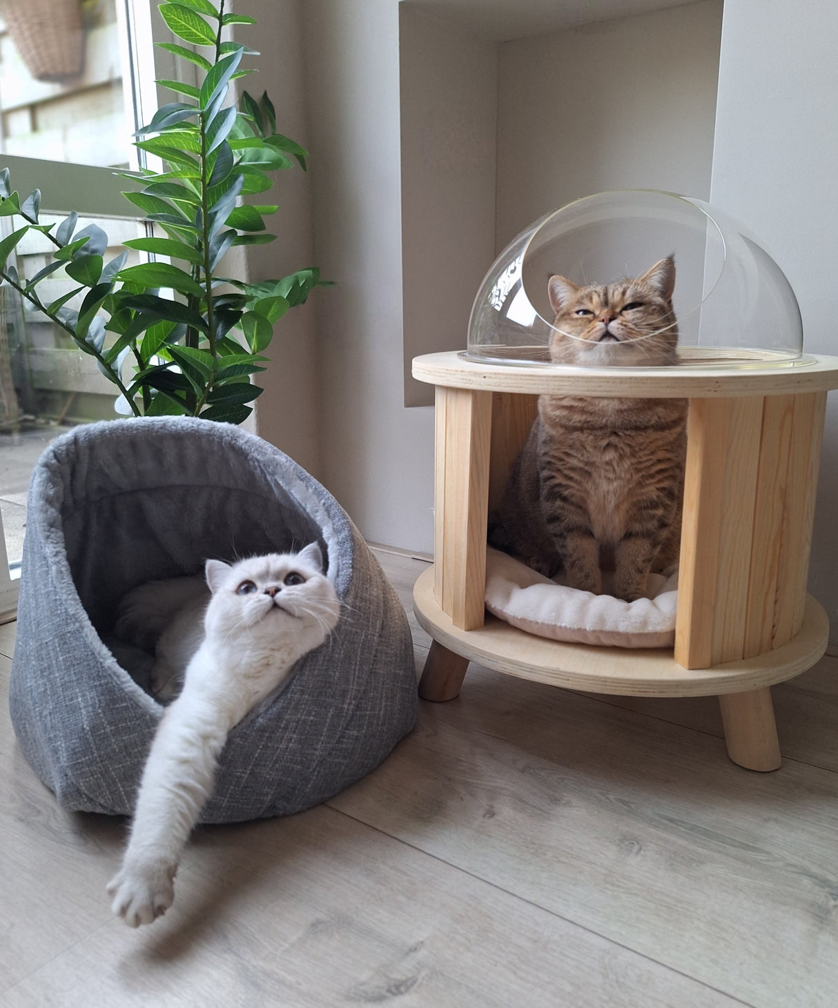 Momo kattenbed - kattenmand - SpirePets