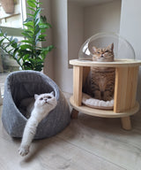 Momo kattenbed - kattenmand - SpirePets