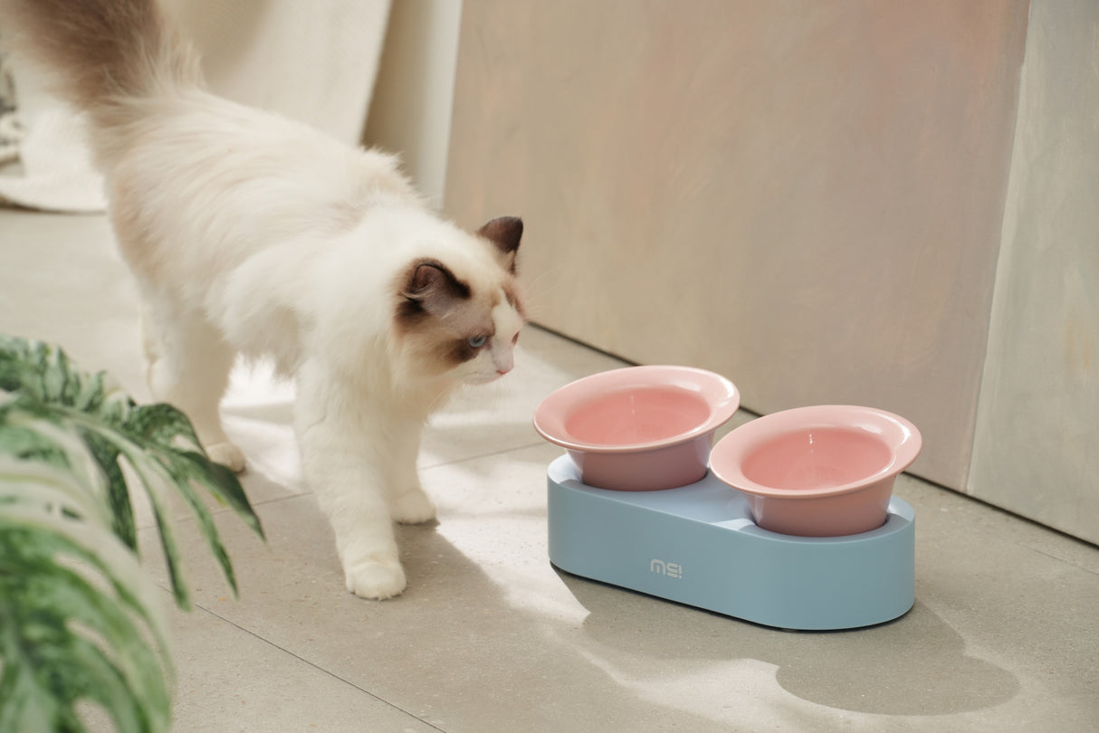 Keramische katten voer- en drinkbak - verhoogd ontwerp - lichtblauw en roze - SpirePets