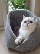 Momo kattenbed - kattenmand - SpirePets