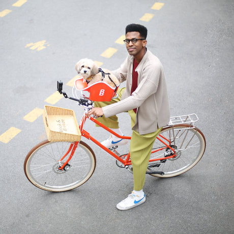 Brook & Breeze Canine Copilot - fietsstoeltje voor hond of kat - SpirePets