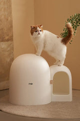 Kattenbak - universeel maat - inclusief kattenbakschepje - stijlvol en functioneel - lekvrij en geurvrij - SpirePets
