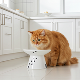 Luxe Verhoogde Kattenvoerbak - Ergonomisch & Porselein