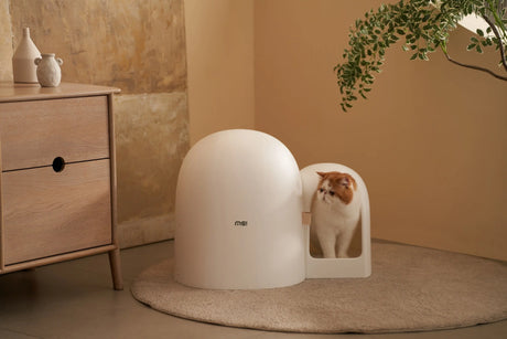 Kattenbak - universeel maat - inclusief kattenbakschepje - stijlvol en functioneel - lekvrij en geurvrij - SpirePets