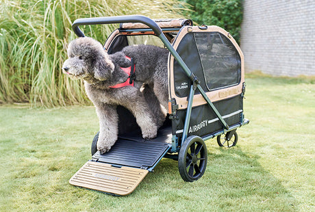 AirBuggy AIR-CRUISER – De Ultieme Premium Hondenbuggy voor Grote Rassen - SpirePets
