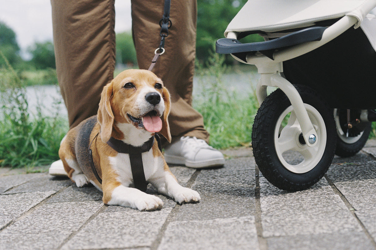 AirBuggy Dome 3 Regular - Earth Grey - Dog Stroller