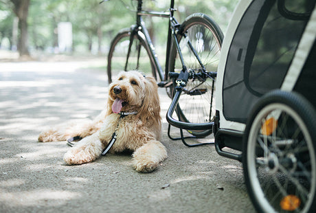 AirBuggy Towbar – Koppeling voor de Cube Nest Bike Fietskar - SpirePets