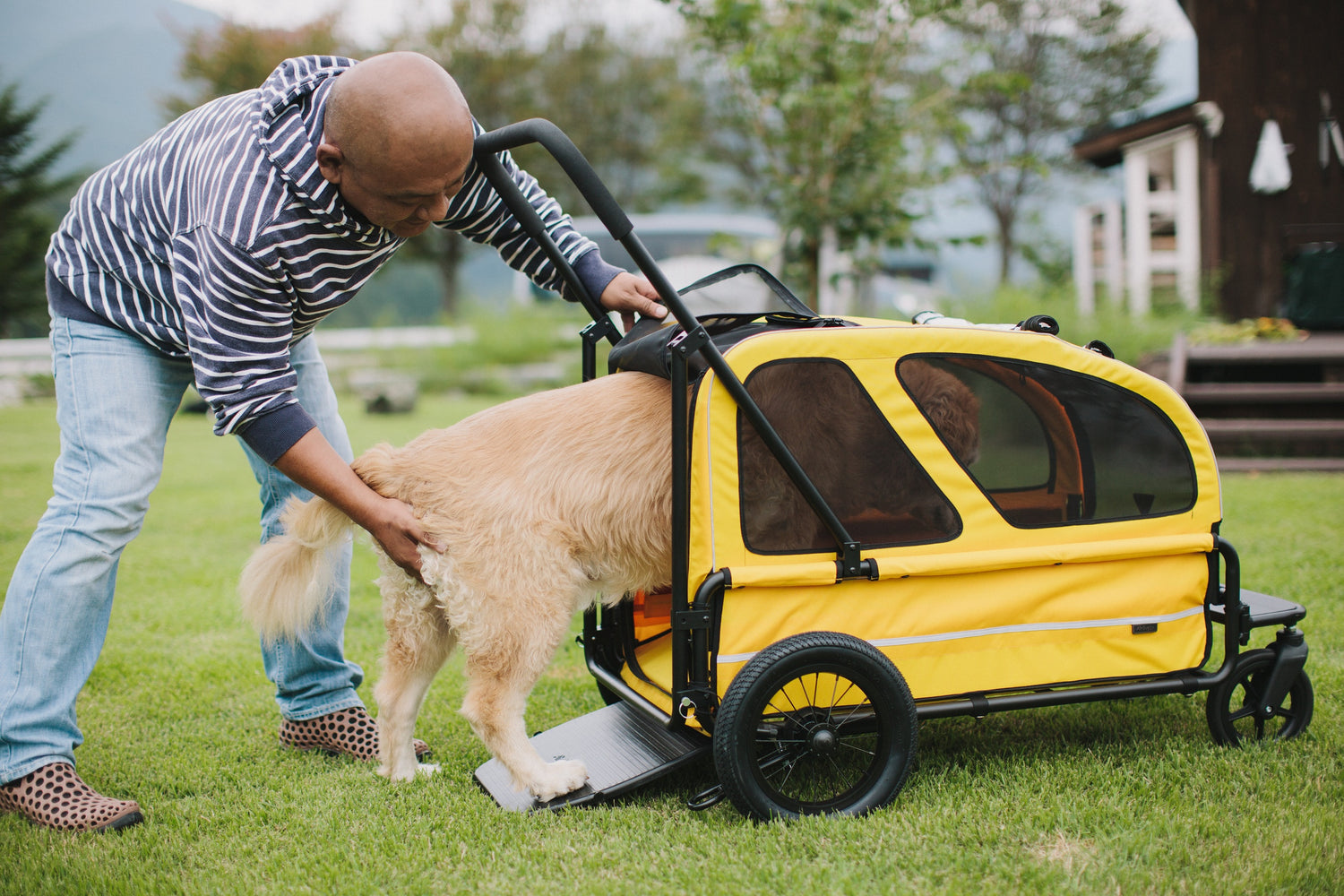 AirBuggy Carriage Set Moss Green – The Ultimate Luxury Dog Stroller