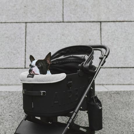 AirBuggy DOME 3 Large – Salmon Berry - Luxury stroller