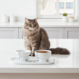 Necoichi dienblad inclusief twee bakjes voor katten - SpirePets