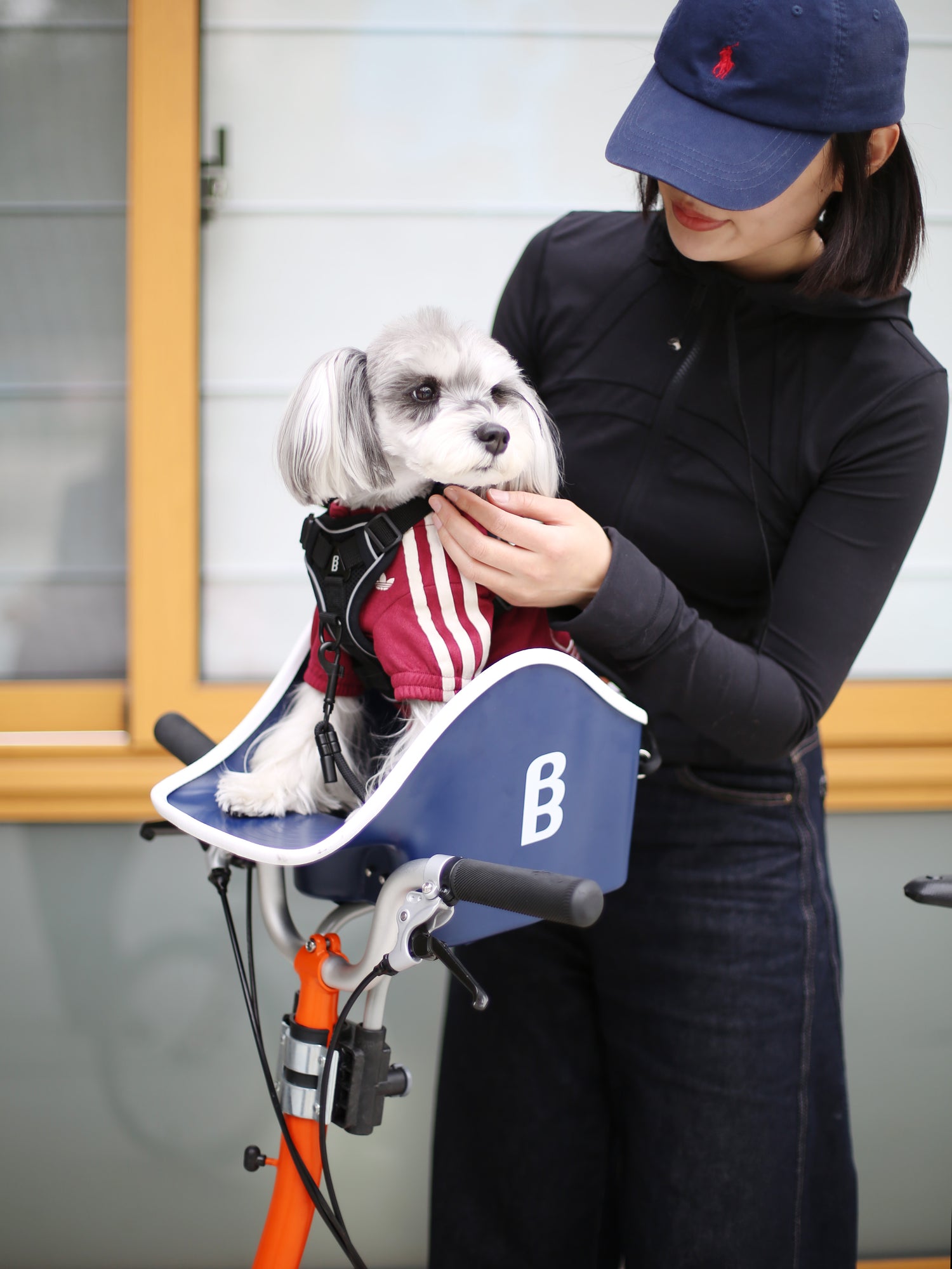Brook & Breeze Canine Copilot Blue Honden fietszitje - SpirePets