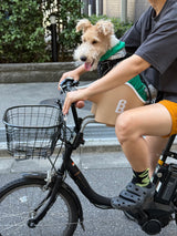Brook & Breeze Canine Copilot - Crème Beige - SpirePets