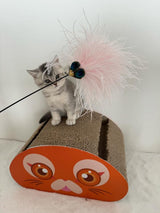 Kattenhengel met veren - speelhengel voor katten - SpirePets