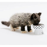 Mini voerbak katten of hondjes - hoog model - SpirePets