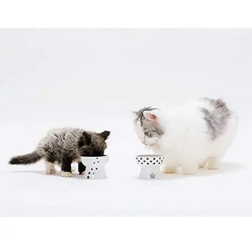 Mini voerbak katten of hondjes - hoog model - SpirePets