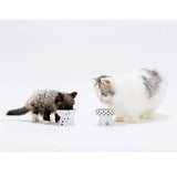 Mini voerbak katten of hondjes - hoog model - SpirePets