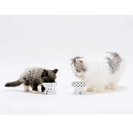 Mini voerbak katten of hondjes - hoog model - SpirePets