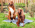 Henry Wag Microvezel Noodle Huisdier Mat - XL droogmat hond - SpirePets