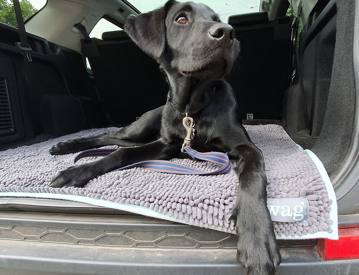Henry Wag Microvezel Noodle Huisdier Mat - XL droogmat hond - SpirePets