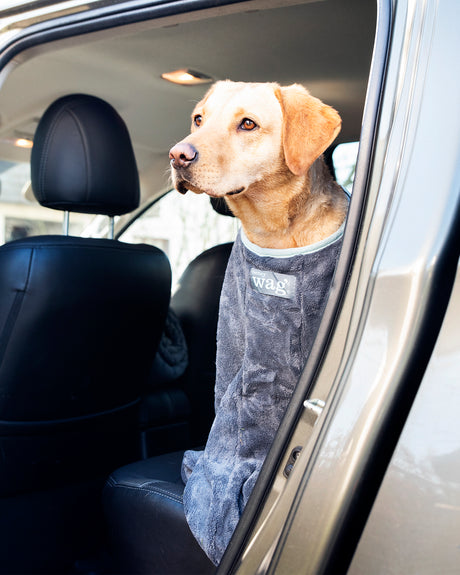 Henry Wag honden droogzak - microvezel - Maat L - SpirePets