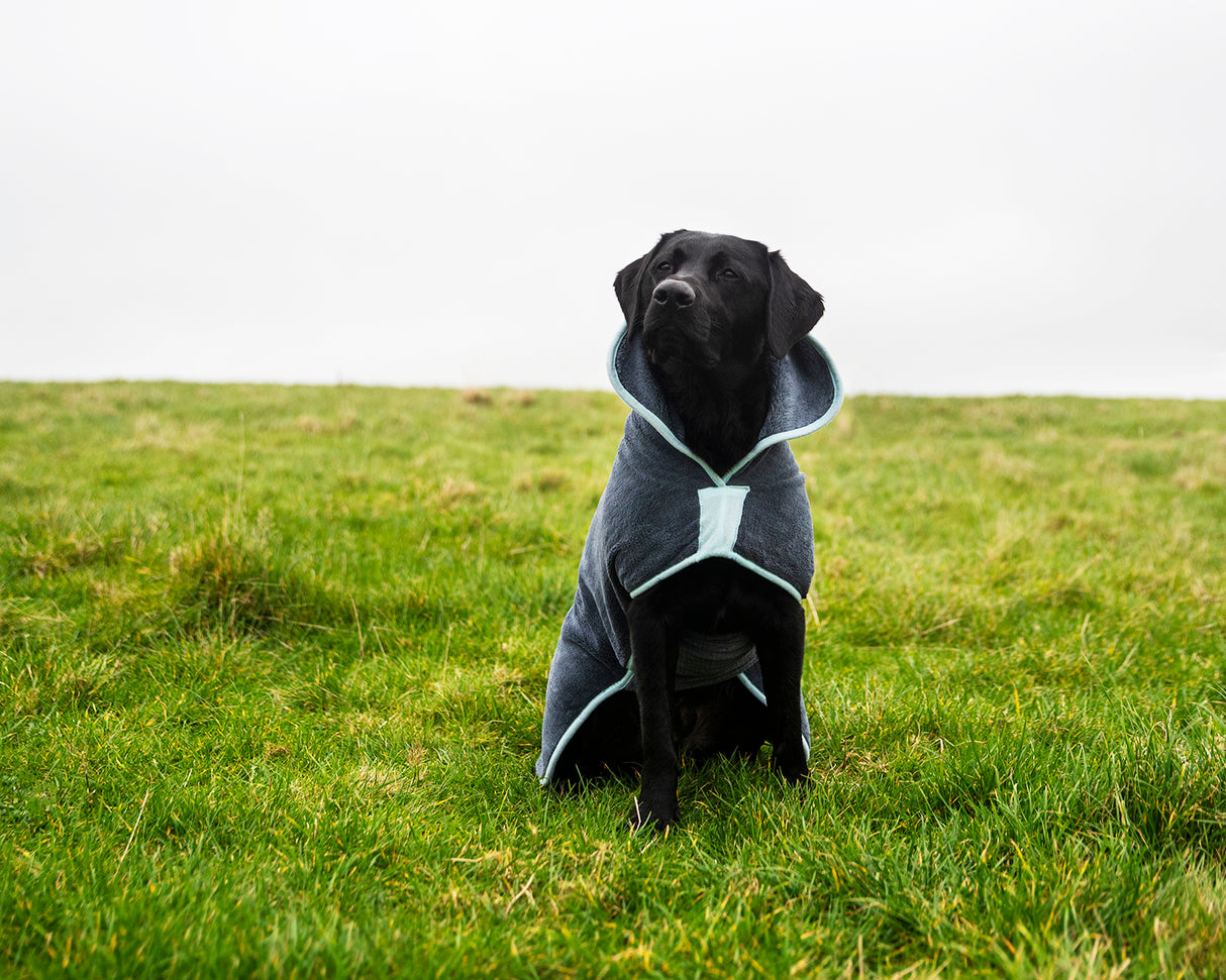 Henry Wag microvezel hondenbadjas - droogjas voor honden - Maat L - SpirePets