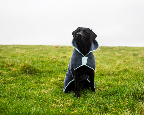 Henry Wag microvezel hondenbadjas - droogjas voor honden - Maat L - SpirePets