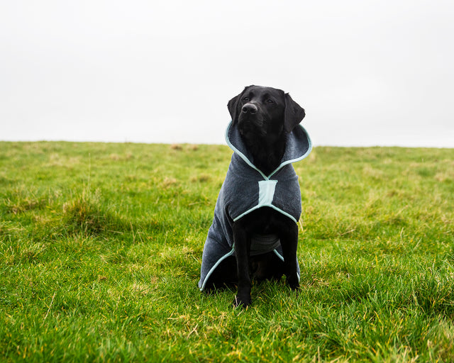 Henry Wag microvezel hondenbadjas - droogjas voor honden - Maat L - SpirePets