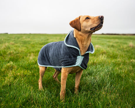 Henry Wag microvezel hondenbadjas - droogjas voor honden - Maat XL - SpirePets