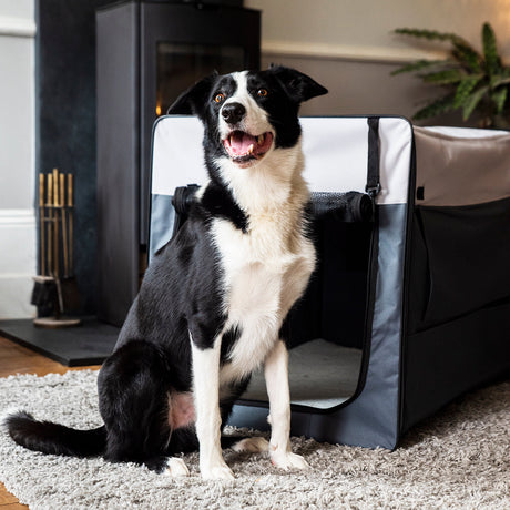 Henry Wag Opvouwbare Bench Hond - Reisbench XL - SpirePets