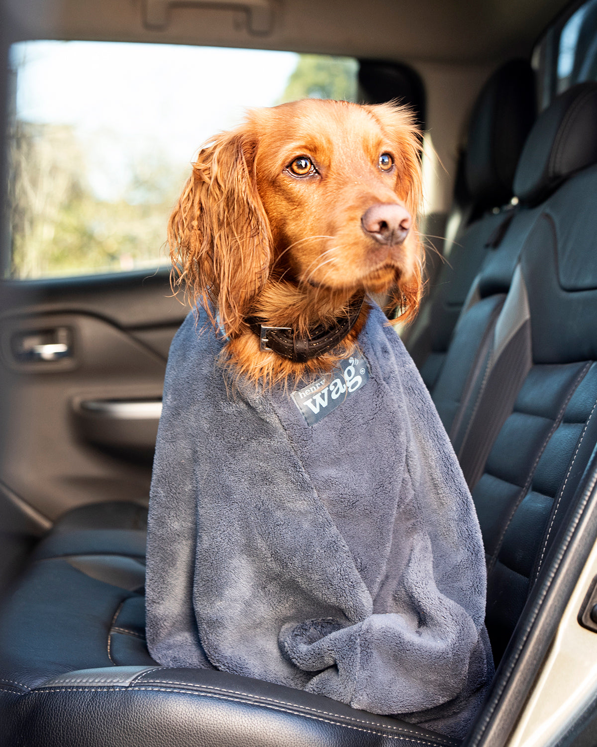 Henry Wag honden droogzak - microvezel - Maat M - SpirePets