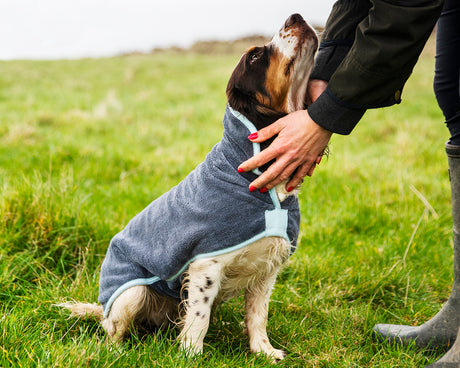 Henry Wag honden badjas - droogjas voor honden - Maat M - SpirePets