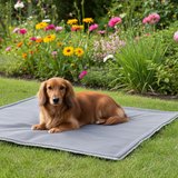 Hondendeken Bastiaan - Ribcord - Maat S - SpirePets