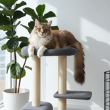 Luxe krabpaal voor katten - Krabmeubel Cindy - SpirePets