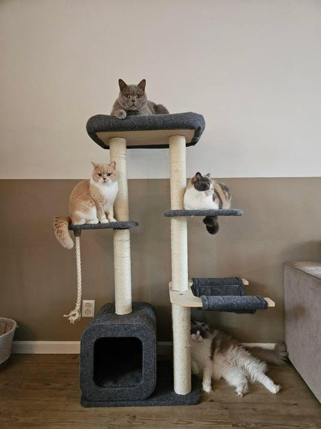 Katten krabpaal Candy - klimboom - grijs - SpirePets