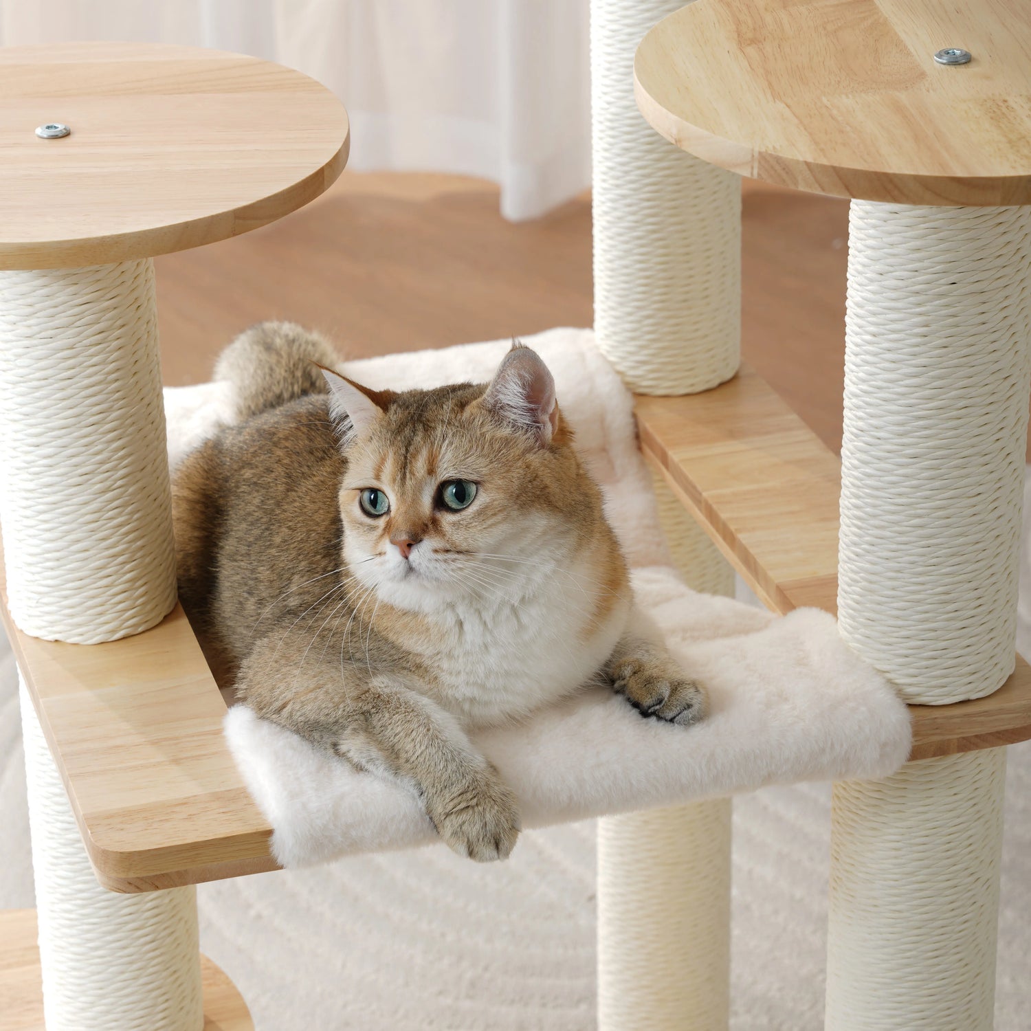 Kattenboom - krabpaal met hangmat en kattenmand - SpirePets